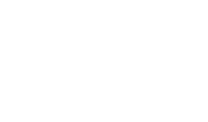 Fitballz™